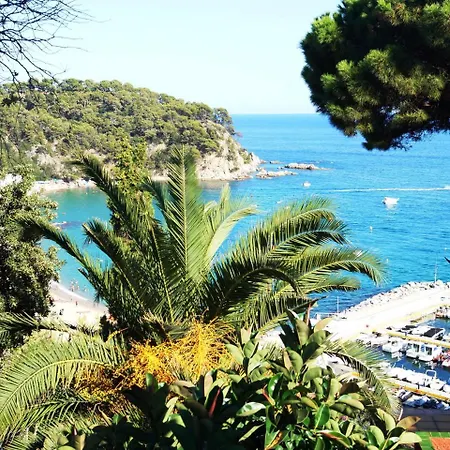 Mango Lloret de Mar