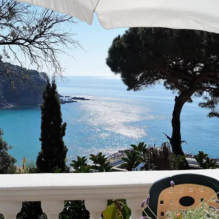 Mango Lloret de Mar