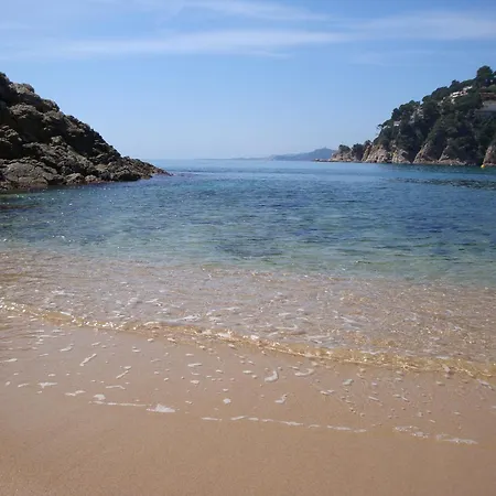 Mango * Lloret de Mar