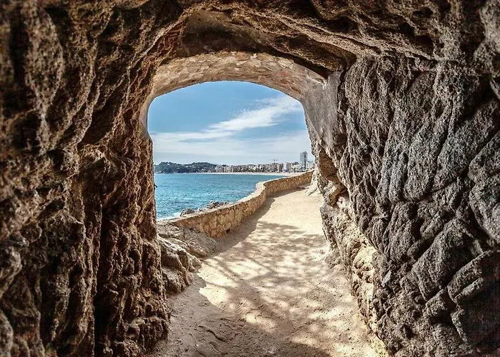 Mango 료렛 드 마르