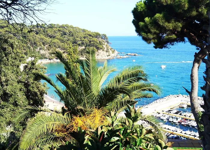 Mango 료렛 드 마르